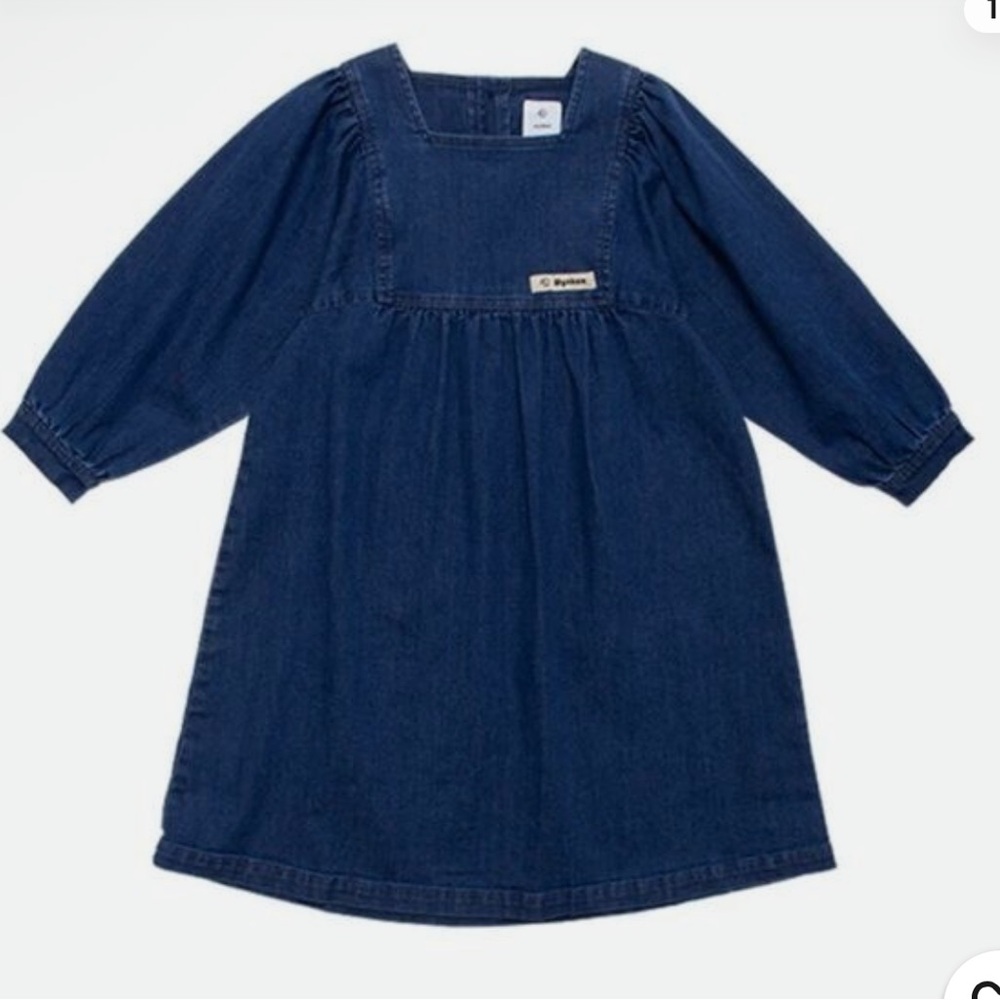 Wynken Denim Dress